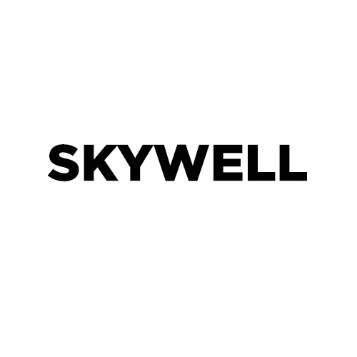 SKYWELL Prémiový autokoberec