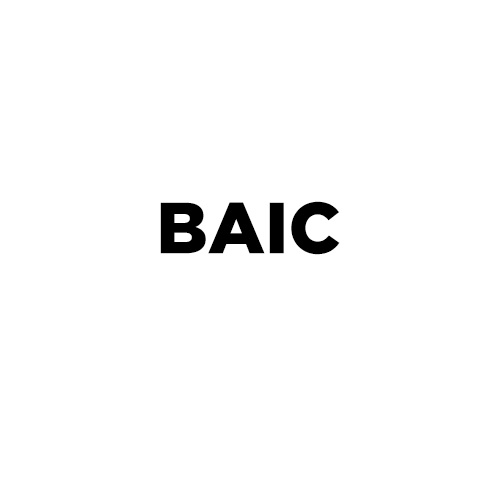 BAIC 3D gumové autorohož